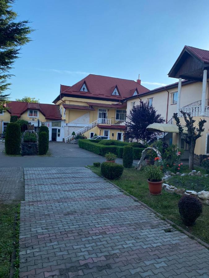 Pensiunea Viena Targu Mures Exterior photo